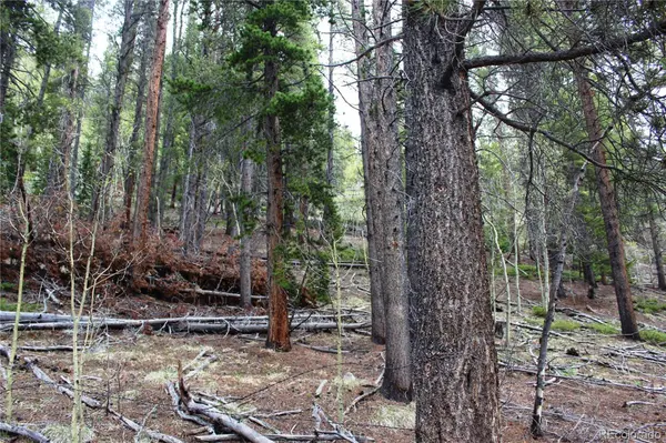 01 Broomfeild Gulch RD, Black Hawk, CO 80422