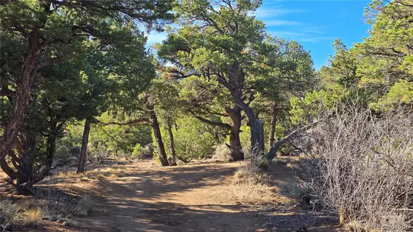 Lot 2232 Solaz RD, Fort Garland, CO 81133