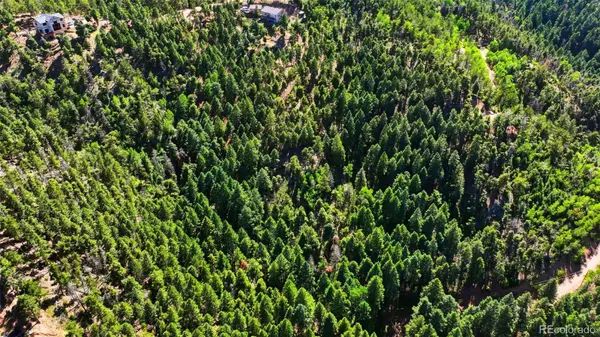 13464 S Firedog WAY, Larkspur, CO 80118
