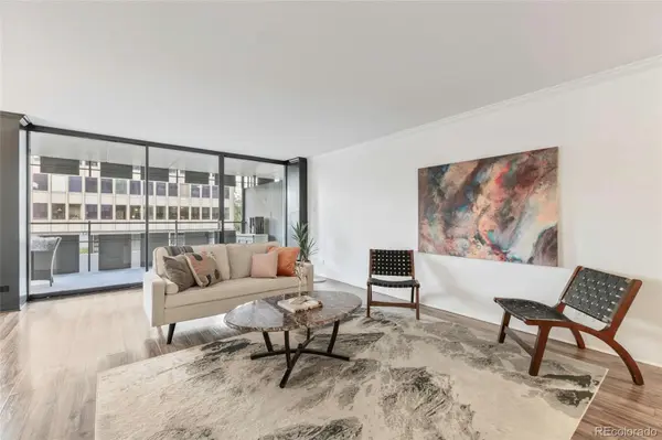 790 N Washington ST #210, Denver, CO 80203