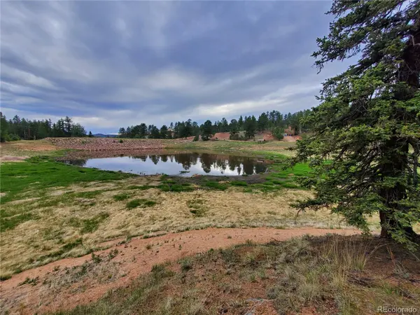 1076 Spring Valley LN, Florissant, CO 80816