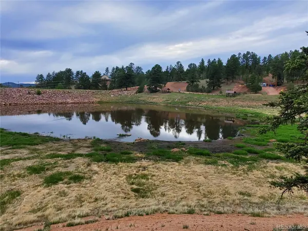 1076 Spring Valley LN, Florissant, CO 80816