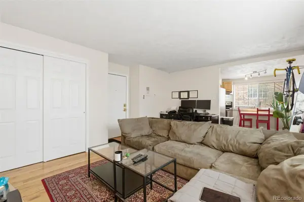 1063 N Clarkson ST #8, Denver, CO 80218