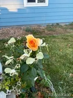 6405 Hollyhock GN #62, Frederick, CO 80530