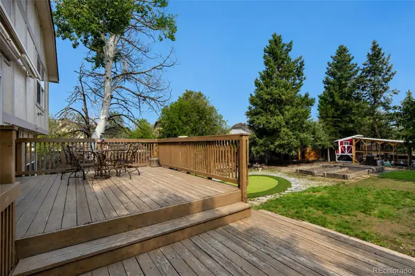 8550 Salsifa TER, Colorado Springs, CO 80920