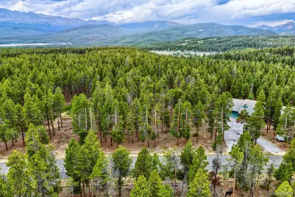 848 Baby Doe DR, Leadville, CO 80461