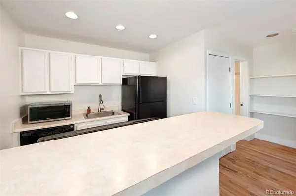 258 Cove BLVD #11, Dillon, CO 80435