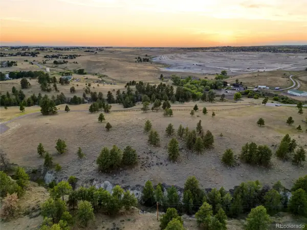 47682 Knibbe CT, Parker, CO 80138