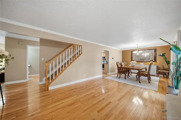 202 Blanca CT, Colorado Springs, CO 80919