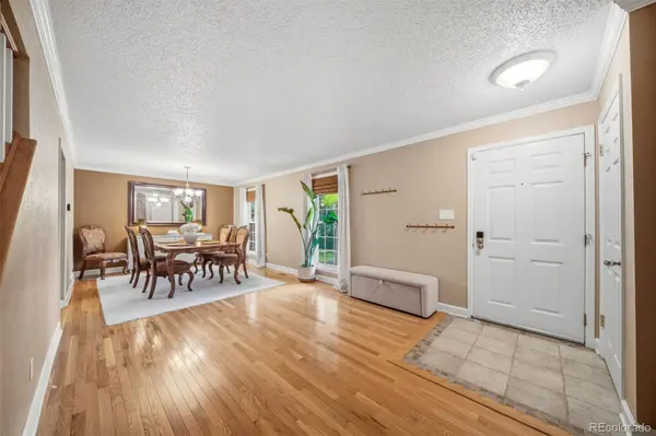 202 Blanca CT, Colorado Springs, CO 80919