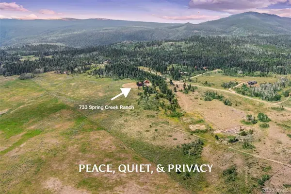 733 Spring Creek Ranch RD, Silverthorne, CO 80498