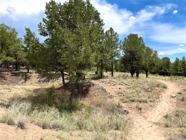 Tract 6 PHILLEO ANNEX Philleo WAY, Crestone, CO 81131
