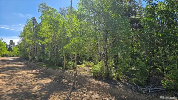 Lot 5816 Balleroy RD, Fort Garland, CO 81133
