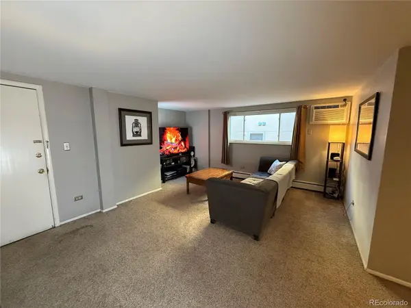 352 S Lafayette #403, Denver, CO 80209