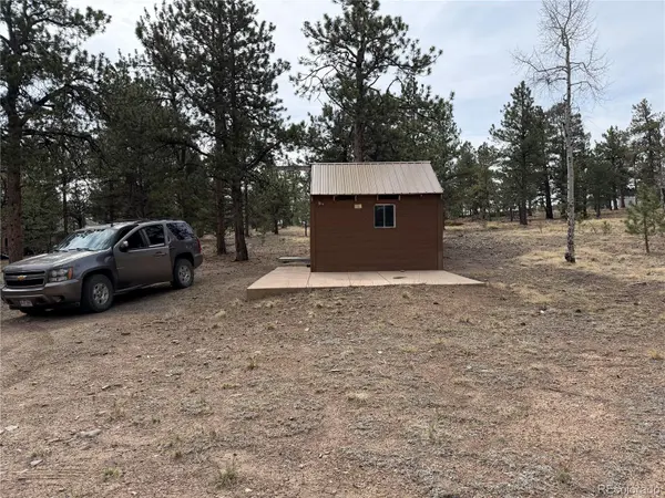 Chubb CT, Buena Vista, CO 81211
