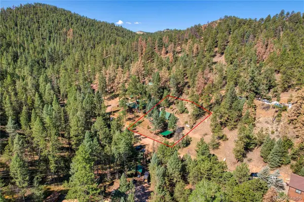 14550 S Elk Creek RD, Pine, CO 80470