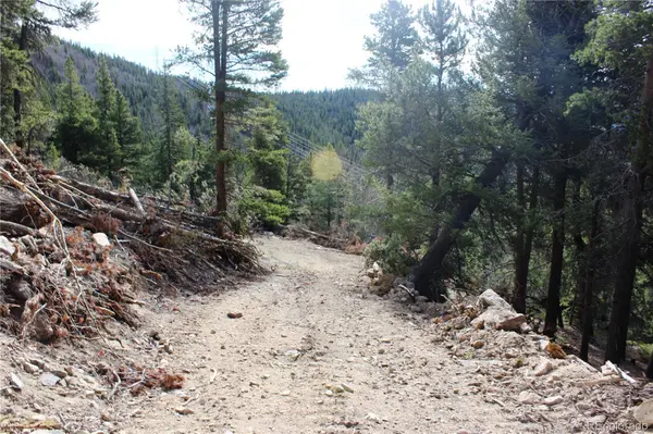 4-1 Lamertine RD, Idaho Springs, CO 80452