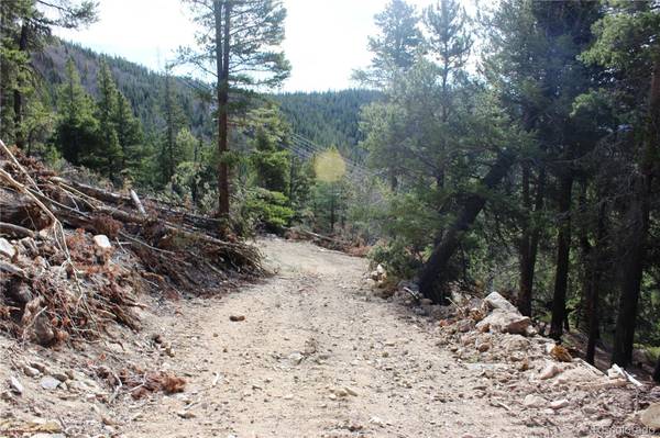4-1 Lamertine RD, Idaho Springs, CO 80452