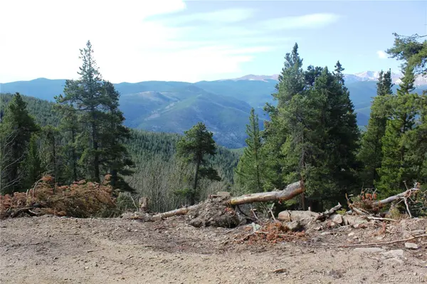 4-1 Lamertine RD, Idaho Springs, CO 80452