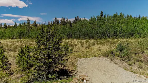 515 Wild Rye RD, Fairplay, CO 80440