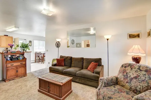 333 Crossman Ave, Buena Vista, CO 81211