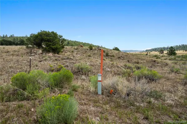 Airport Way, Westcliffe, CO 81252