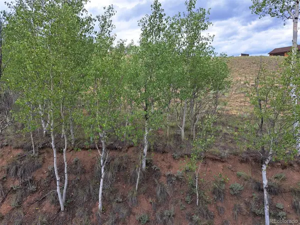 6206 Remington RD, Como, CO 80432