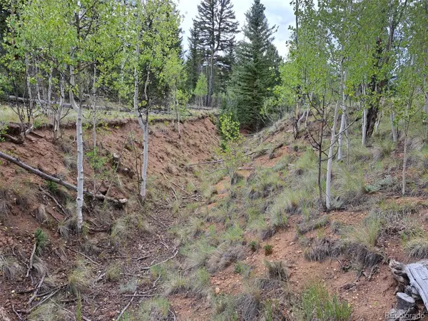 6206 Remington RD, Como, CO 80432