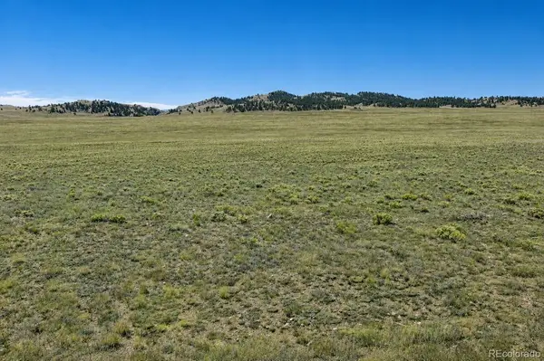 1234 Toltec TRL, Hartsel, CO 80449