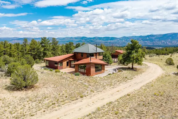 17121 Kiowa RD, Nathrop, CO 81236