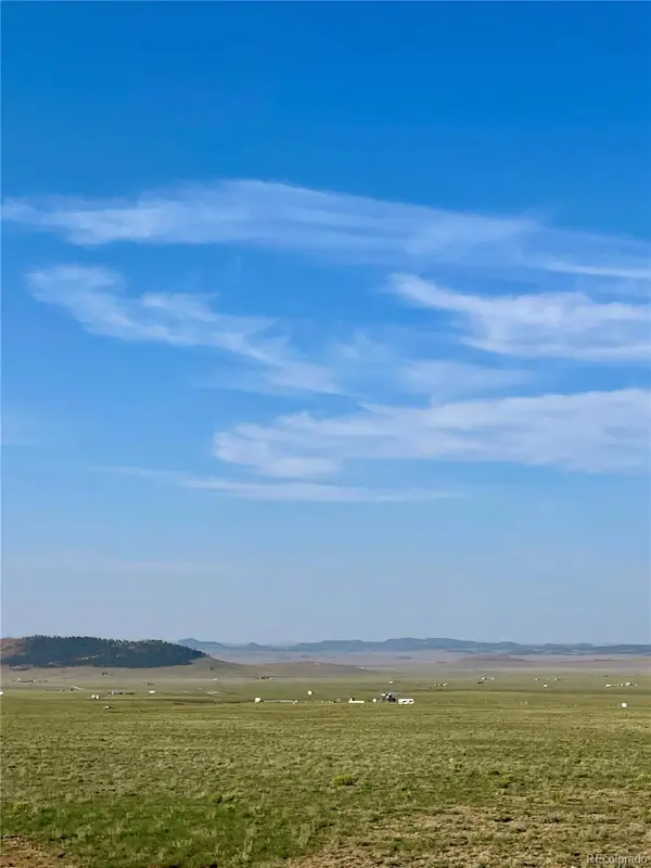 558 Garfield RD, Hartsel, CO 80449