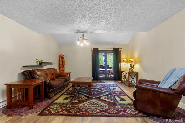 123 Burgundy CIR, Silverthorne, CO 80498