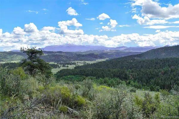 281 Deer LN, Guffey, CO 80820