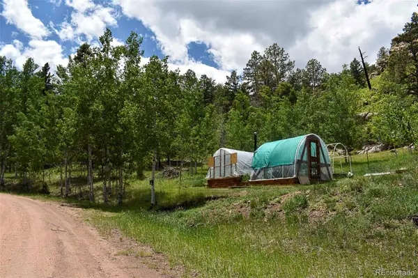 281 Deer LN, Guffey, CO 80820