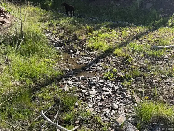 Lot 377 Powers RD, Fort Garland, CO 81133