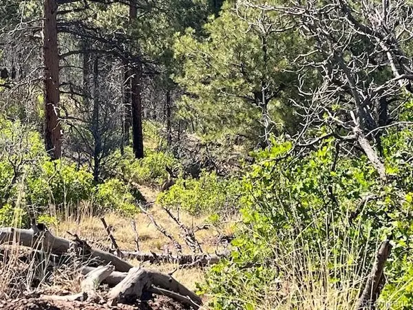 Lot 369-370 Powers RD, Fort Garland, CO 81133