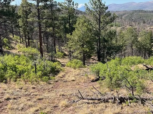 Lot 369-370 Powers RD, Fort Garland, CO 81133