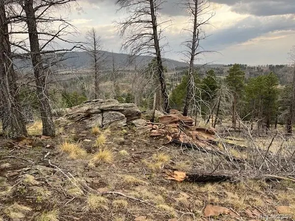 Lot 369-370 Powers RD, Fort Garland, CO 81133