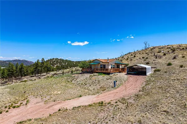 247 Shannon TRL, Cotopaxi, CO 81223