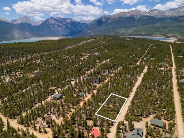 294 Peak View DR, Twin Lakes, CO 80461