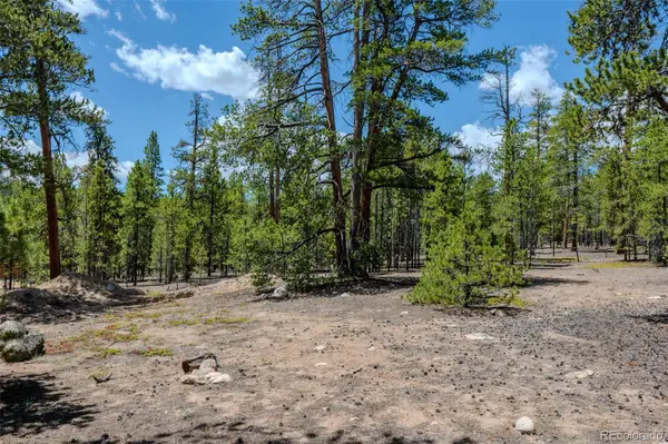 294 Peak View DR, Twin Lakes, CO 80461