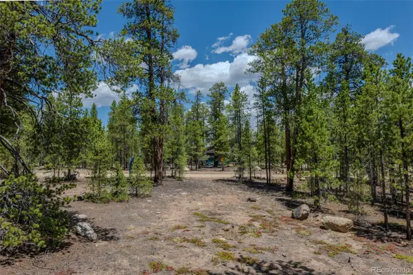 294 Peak View DR, Twin Lakes, CO 80461