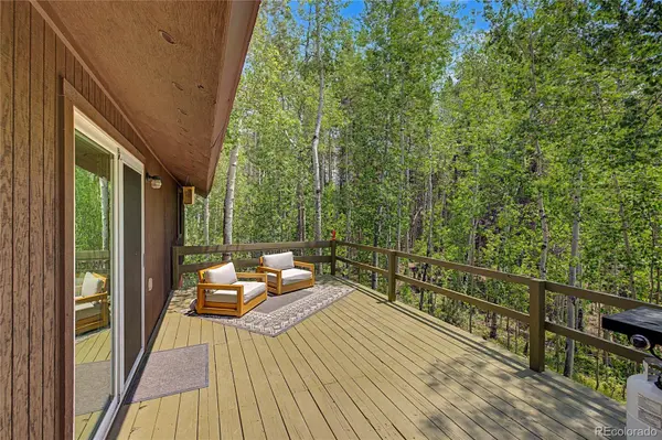 2602 Empire Valley DR, Leadville, CO 80461