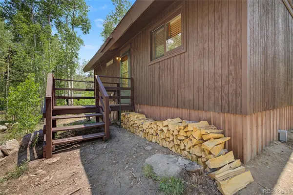 2602 Empire Valley DR, Leadville, CO 80461