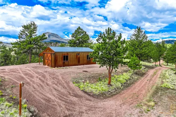 75 Deer Run, Guffey, CO 80820