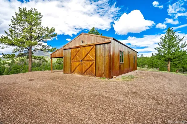 75 Deer Run, Guffey, CO 80820