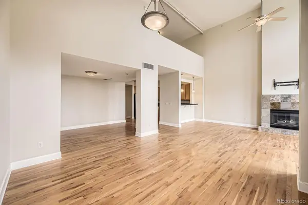 1699 N Downing ST #404, Denver, CO 80218