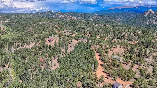 105 Carlton CIR, Florissant, CO 80816
