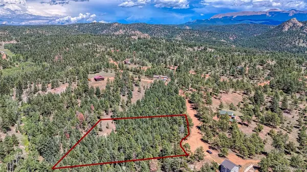 105 Carlton CIR, Florissant, CO 80816