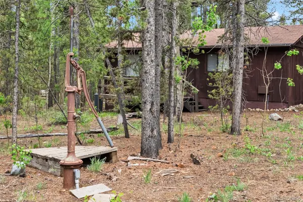 64 Ski Doo RD, Fairplay, CO 80440